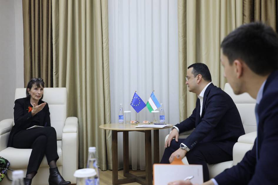 Uzbekistan, EU discuss digitalization and infrastructure cooperation